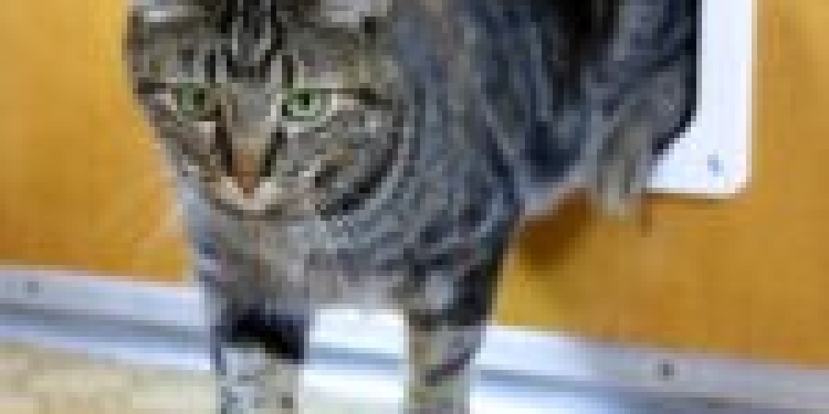 You'll Never Guess This Cat Door Contractor's Tricks