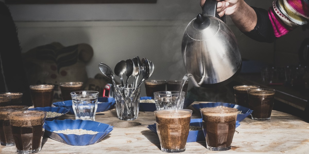 What Is Nespresso Dolce Gusto? How To Utilize It